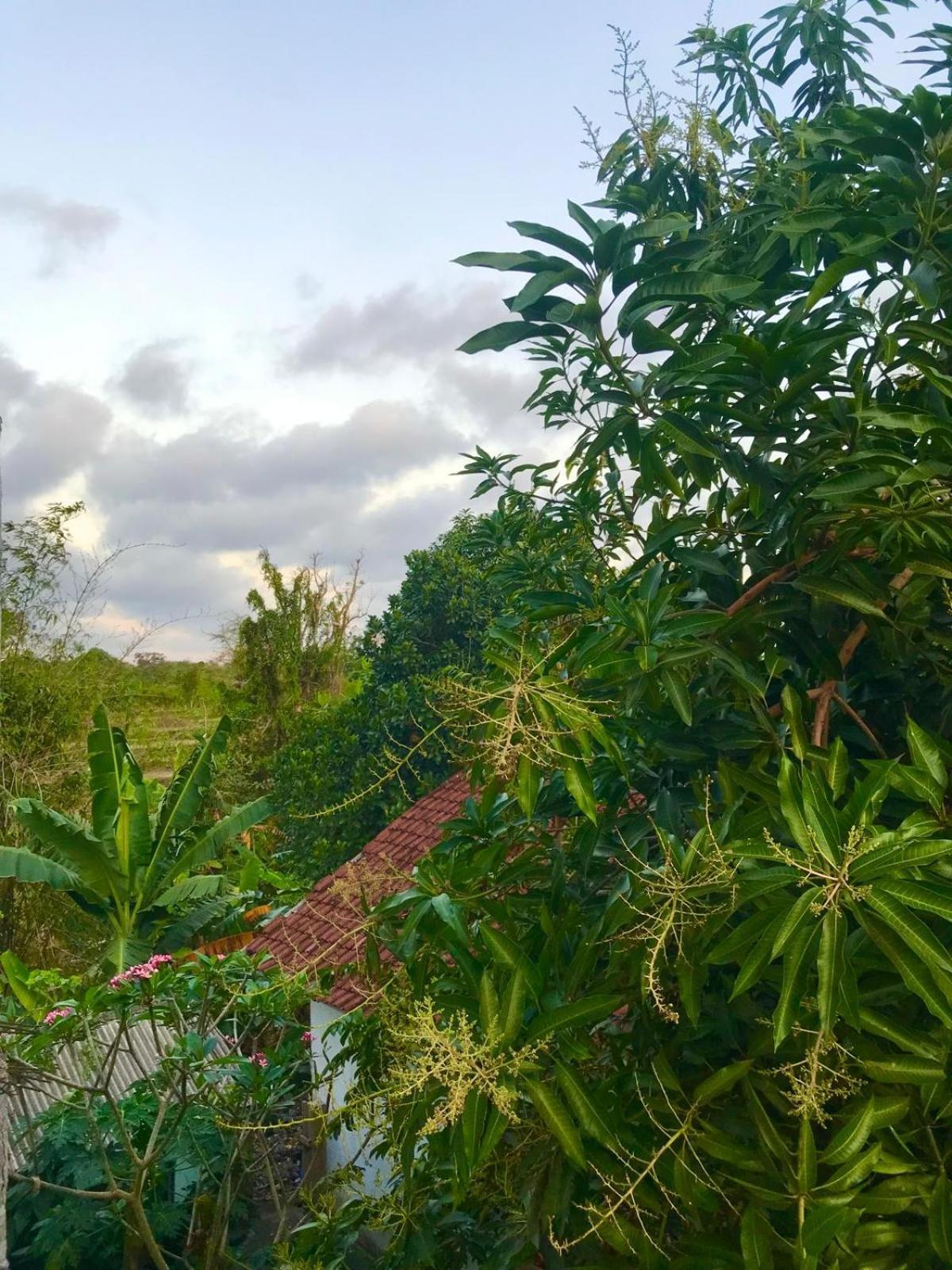 Bulan Homestay Plambi Exteriér fotografie
