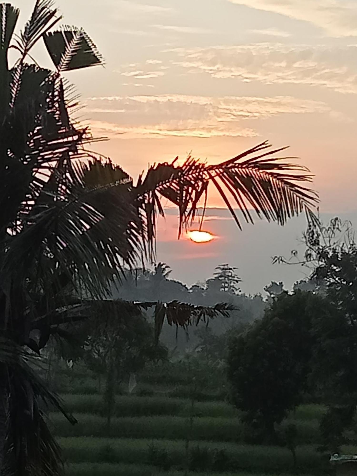 Bulan Homestay Plambi Exteriér fotografie