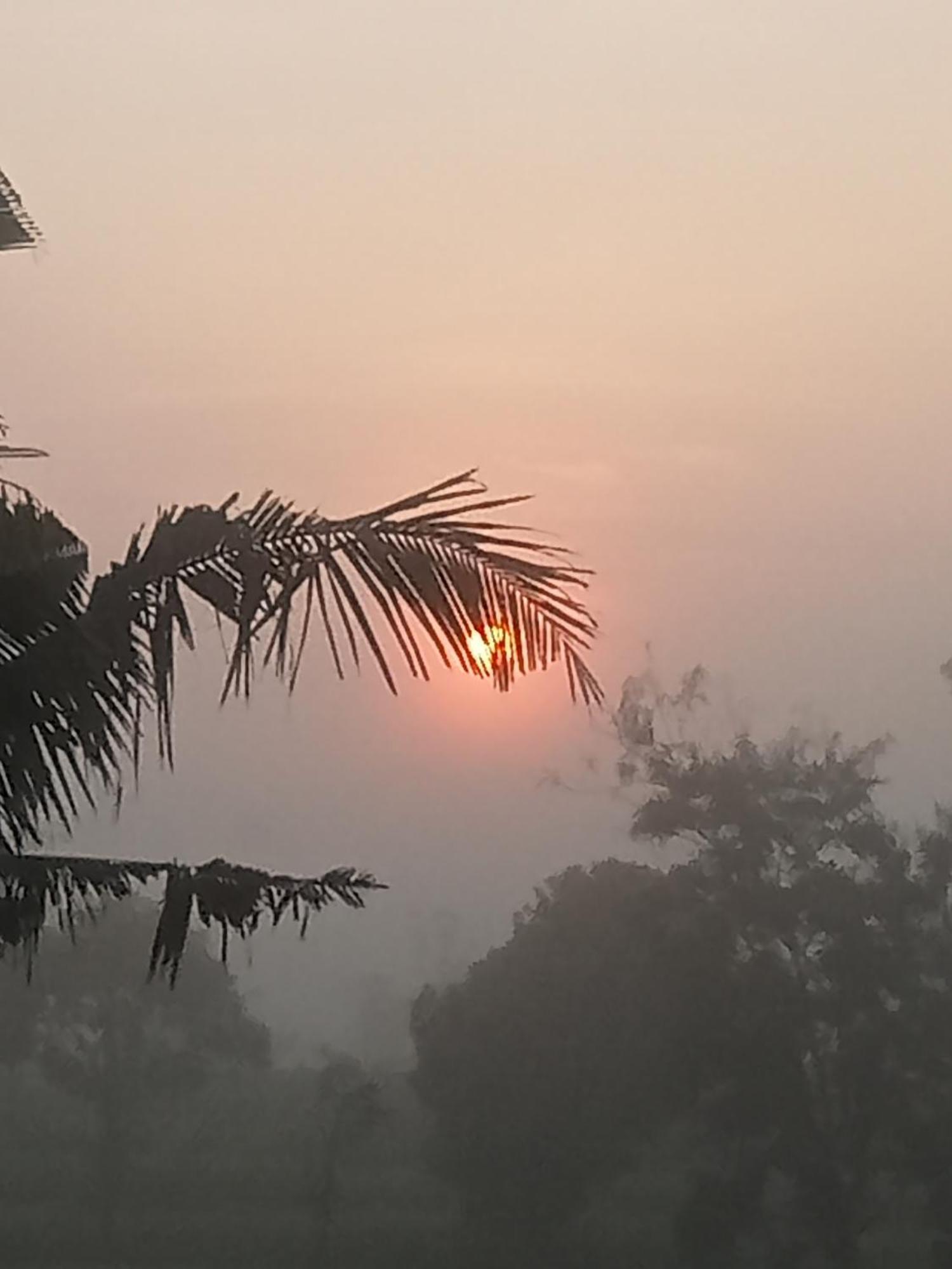 Bulan Homestay Plambi Pokoj fotografie